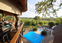 Crocodile Kruger Safari Lodge Tourism Africa