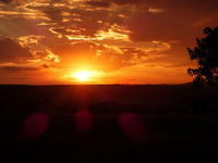 Crown River Safari Tourism Africa