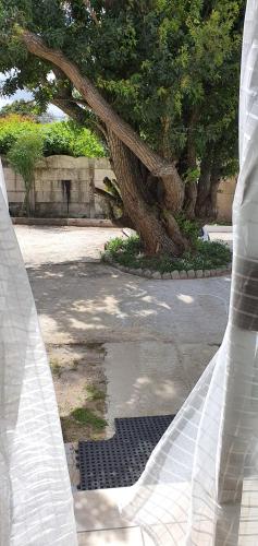 Dali's House - thumb 3