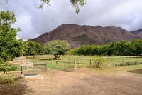 De Bos Backpackers Tourism Africa