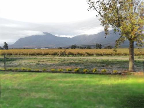 De Hoop Farm - Mountain View - thumb 4
