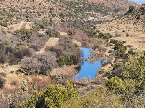 Diepkloof Eco Guest Farm - thumb 5