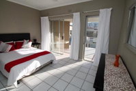 Dolphin view Tourism Africa