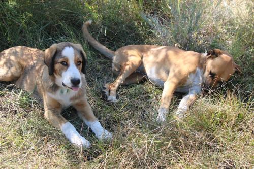 Donkerhoek Country Living - thumb 1