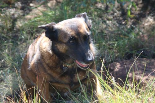 Donkerhoek Country Living - thumb 3