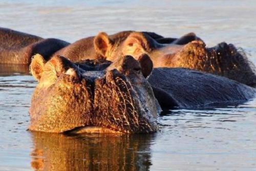 Duiker Lodge - thumb 4