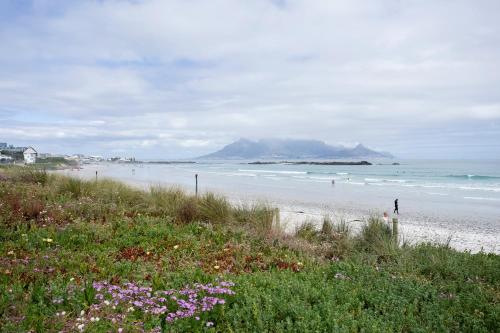 Eden On The Bay Studio 67A - thumb 5