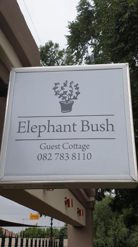 Elephant Bush Guest Cottage - thumb 1