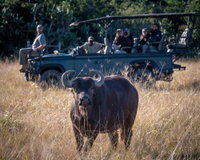 Elephants Luxury Lodge - Bellevue Forest Reserve Tourism Africa