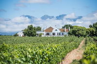 Excelsior Manor Guesthouse Tourism Africa