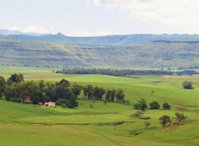 Fairbairn Guest Farm Tourism Africa