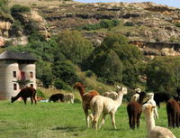 Fairview Estates Tourism Africa