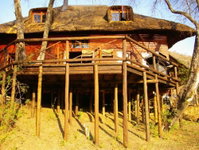 Fish Eagle Log Cabin Tourism Africa
