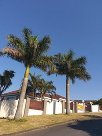 Flight Inn Tourism Africa