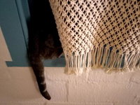 Foot-loose  Fancy Free Tourism Africa