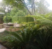 Forest  Ferns - Tourism Africa