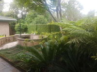 Forest  Ferns Tourism Africa