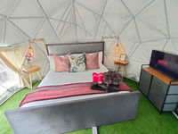 Forest Dome - Misty Mountain Reserve Tourism Africa