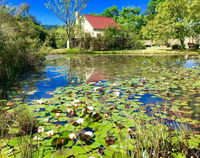 Forest Edge Tourism Africa