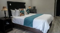 Forest Hills Lodge BB Modern Room Tourism Africa