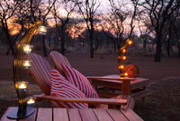 Foreva Wild Tourism Africa