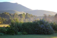 Four Fields Farm Tourism Africa
