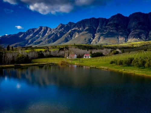 Fraaigelegen Farm - Home Of ADHARA EVOO - thumb 4