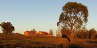 Book Kleinvie Hotels, Tourism Africa Tourism Africa