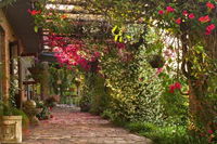 Gerald's Gift Guest House Tourism Africa