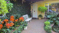 Geranium Guesthouse Tourism Africa