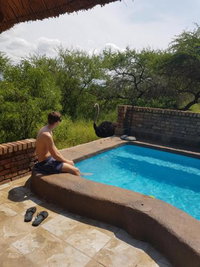 Giraffe plains Tourism Africa