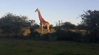 Glen Boyd Game Reserve Tourism Africa