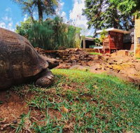 Goodnight Lodge - Tourism Africa