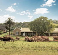 Gorah Elephant Camp - Accommodation Africa