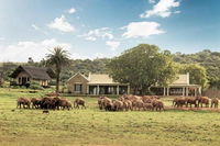Gorah Elephant Camp Tourism Africa