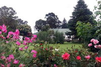 Green Lantern Inn Tourism Africa