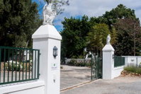 Green Olive Guesthouse Tourism Africa