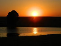 Green Thumb Farm Stay 2 Tourism Africa