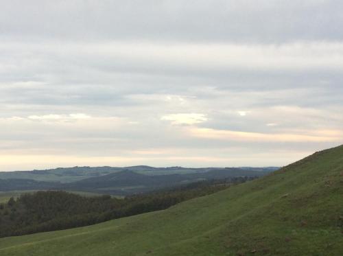 Guest House Woodridge Forest 11 - thumb 2