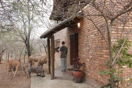 Hakuna Matata - thumb 0