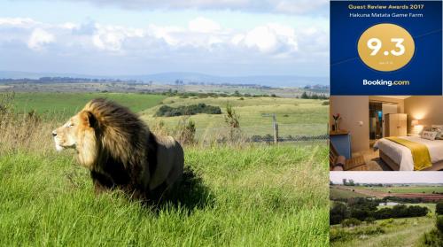 Hakuna Matata Game Farm - thumb 1