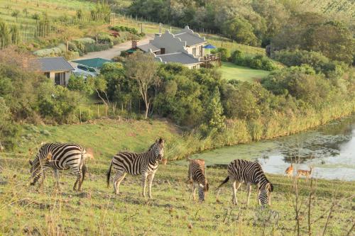 Hakuna Matata Game Farm - thumb 0