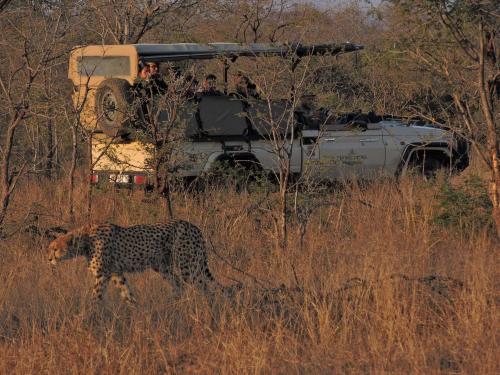 Hamiltons Tented Camp - thumb 1