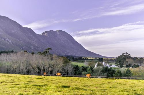 Hemel 'N Aarde Stud - thumb 0