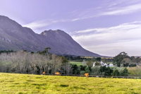 Hemel 'N Aarde Stud Tourism Africa