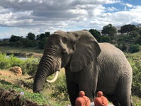 Hennie's Rest Tourism Africa
