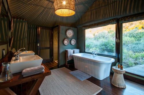 HillsNek Safari Camp â€“ Amakhala Game Reserve - thumb 5