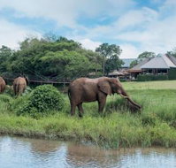 Hippo Hollow Country Estate - Tourism Africa