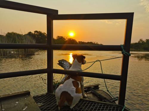 Hippo Retreat & Tiger Fishing Komatipoort - thumb 1