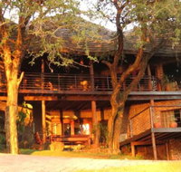 House Turaco - Tourism Africa